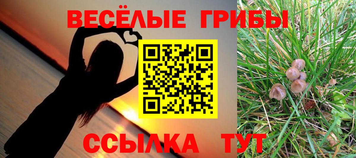 Лесосибирск  Псилоцибиновые грибы MAGIC MUSHROOMS  Вход с VPN  Галлюциногенные грибы GOLDEN TEACHER 